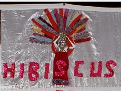 Hibiscus