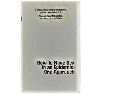 How to Have Sex in an Epidemic